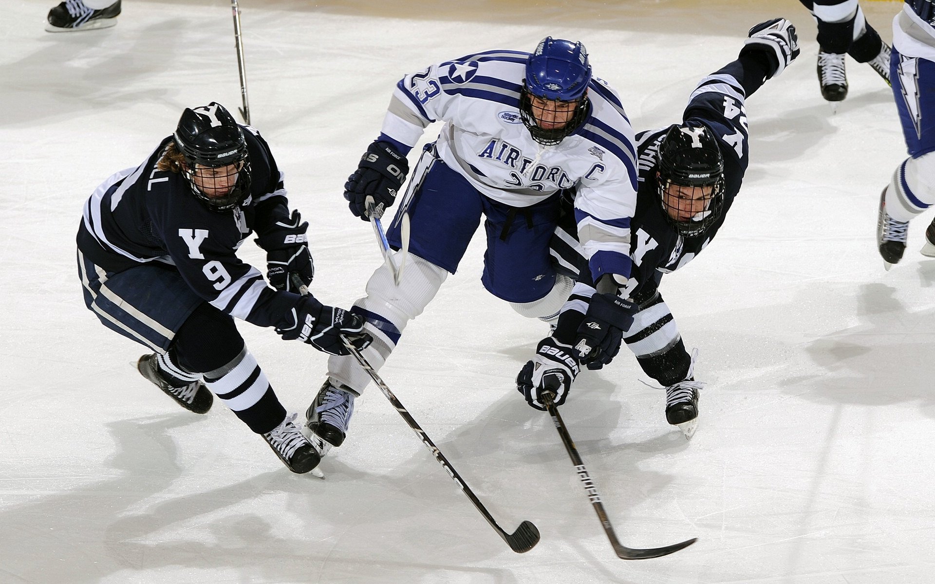 退役球员的精彩生活：球场之外的无限可能，退役篮球球员